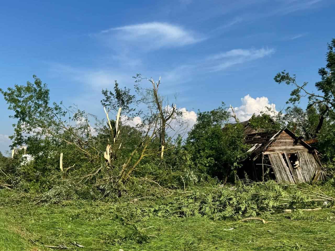 На Витебщине прошел мощный смерч