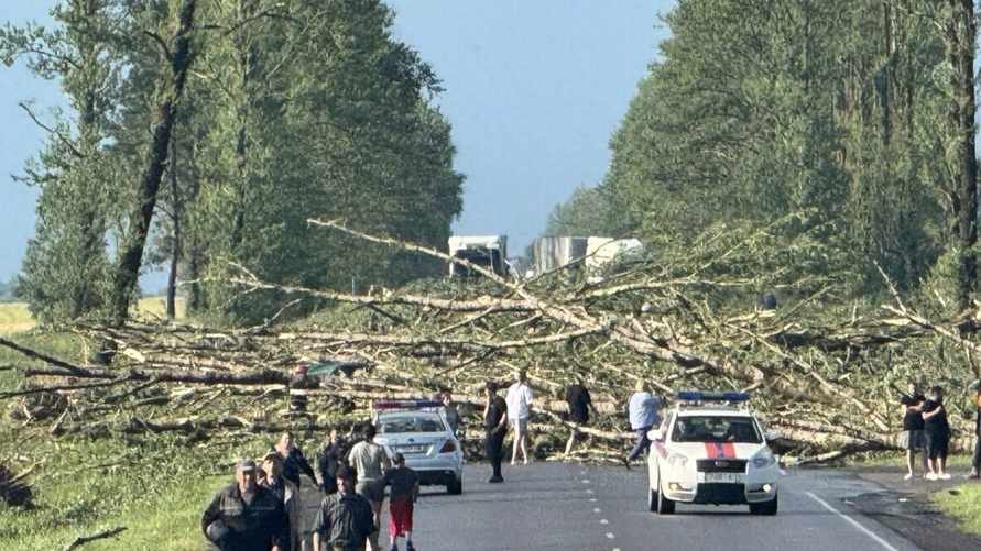 На Витебщине прошел мощный смерч