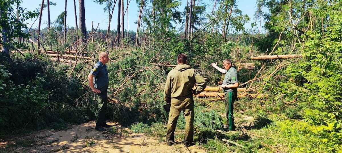 "Важно минимизировать отвлечение людей" - Глава Минлесхоза Беларуси отменил все "негорящие" совещания. Кого призвал не обижать?