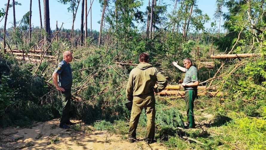 "Важно минимизировать отвлечение людей" - Глава Минлесхоза Беларуси отменил все "негорящие" совещания. Кого призвал не обижать?
