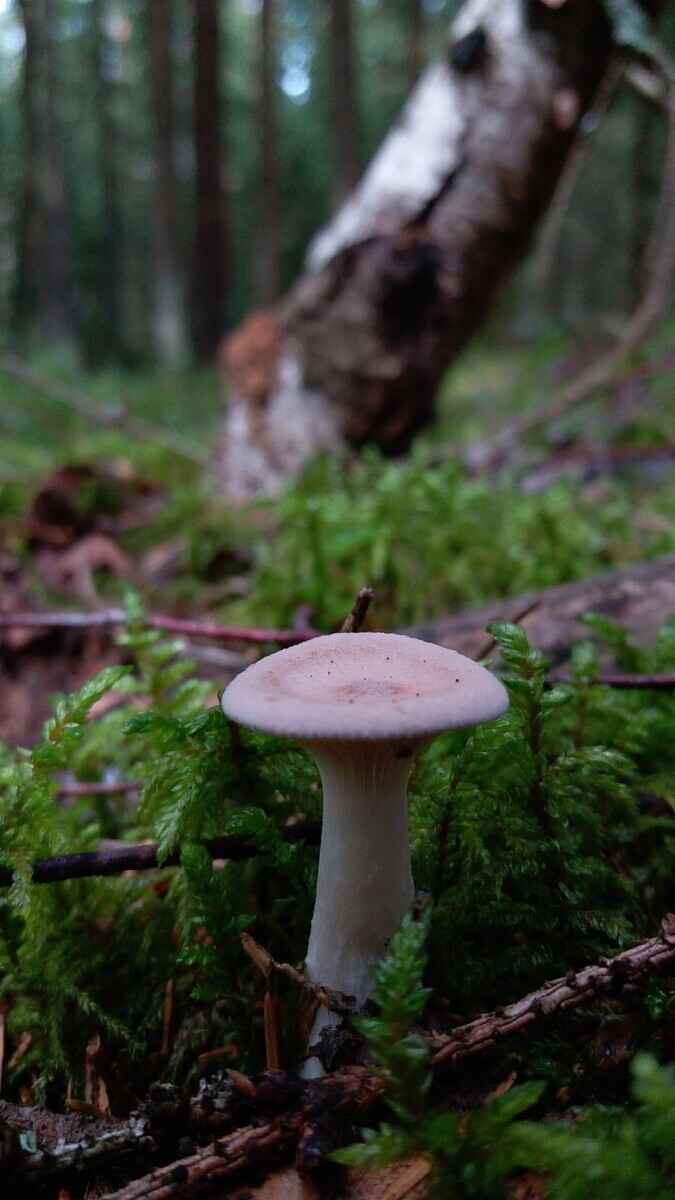 Фото Татьяны Старковой