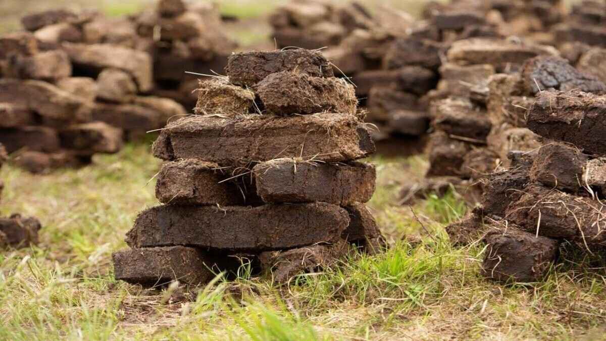 Минприроды предложило ограничить импорт в Беларусь песка и торфа. Как объяснило?