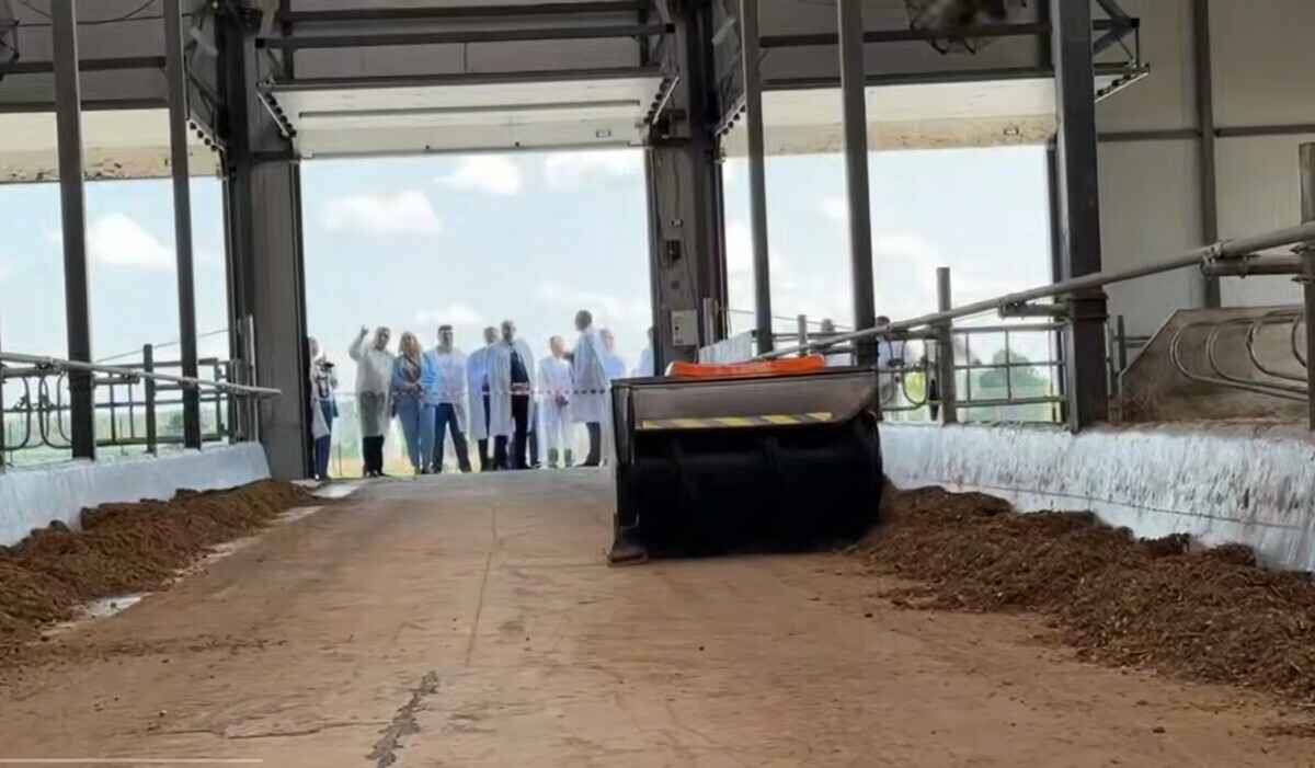 Брестский облисполком показал "нанотехнологию" в белорусском коровнике