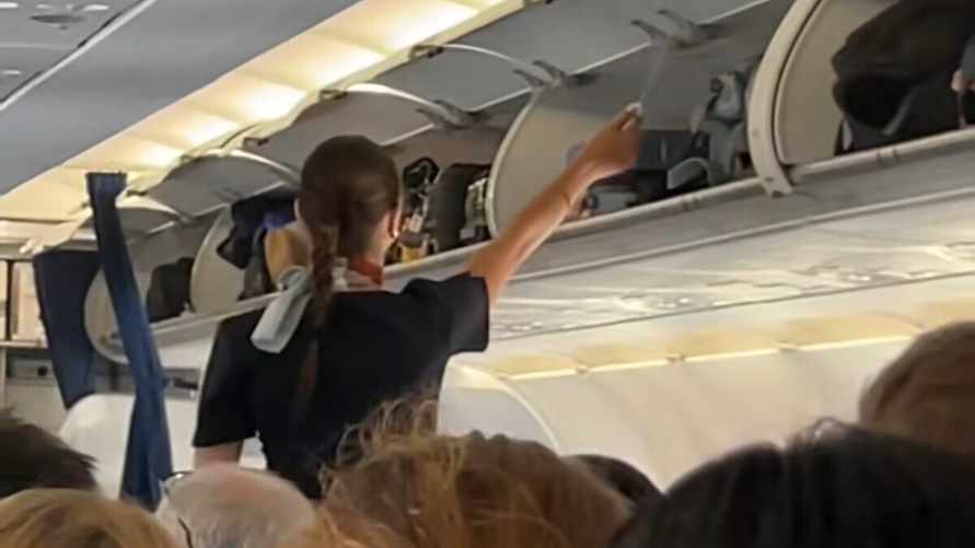 "Чтобы пассажиры сразу заснули" — Видео действий бортпроводницы в самолёте вызвало вопросы. Что это было на самом деле?