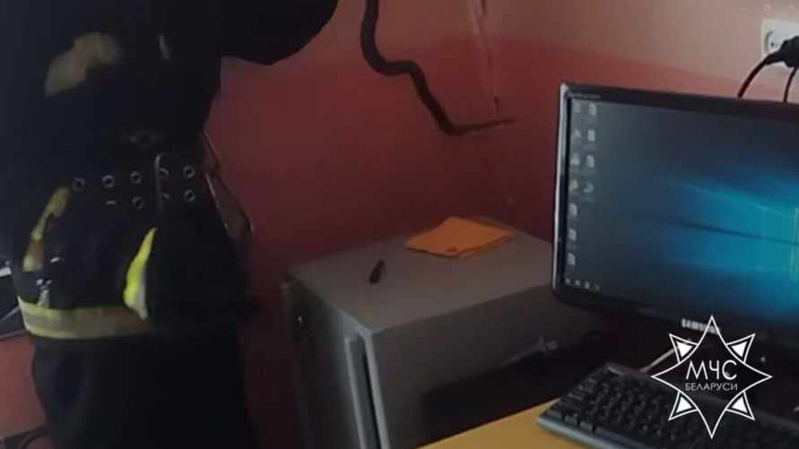 Фото: МЧС Беларуси
