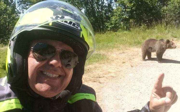 «Смотрите, какой красивый» — Турист сделал селфи с медведем, а на следующий день зверь его растерзал