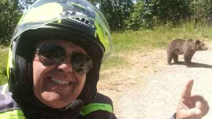 «Смотрите, какой красивый» — Турист сделал селфи с медведем, а на следующий день зверь его растерзал