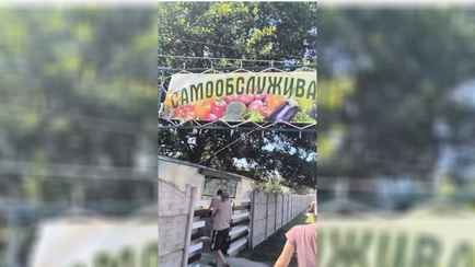 «Это настолько надо доверять людям» — В одной из деревень на Брестчине открыли ларёк самообслуживания. Что по ценам?