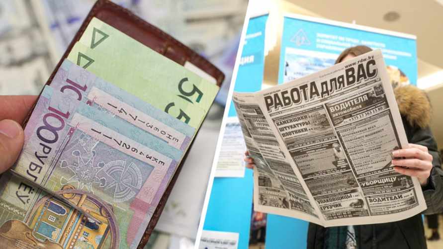 Зарплата – от 31 000 рублей? Белорусов с опытом работы с животными позвали работать в деревню