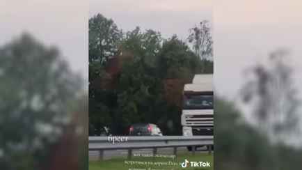 «Хотел сократить маршрут» — Брестская ГАИ вычислила водителя, который ехал по встречке по трассе М1