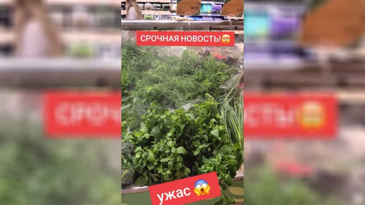 «Буду косить и продавать» - В минском магазине заметили «траву» за 100 рублей. Оказалось, это не предел