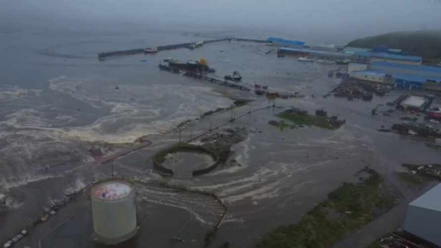 Скриншот видео РАН