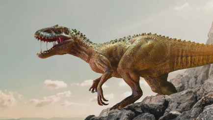 Не рычали? Учёные из Китая открыли как звучали динозавры на самом деле