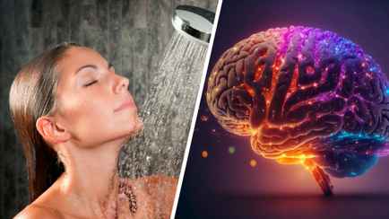 Нейробиолог назвал 3 необычных способа улучшить работу мозга. Один вы можете применять в душе