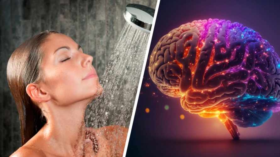 Нейробиолог назвал 3 необычных способа улучшить работу мозга. Один вы можете применять в душе
