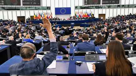 Россия запретила въезд в страну евродепутатам, голосовавшим за «враждебные» резолюции и законопроекты ЕС