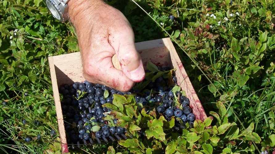 Фото иллюстрационное