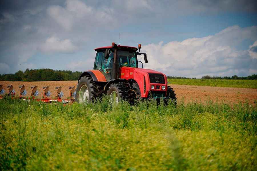 Фото иллюстрационное