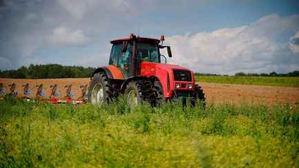 В Белстате назвали причину сокращения производства сельхозпродукции