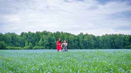 Белорусы рассказали о штрафах за фотосессии с полевыми цветами. Что известно?