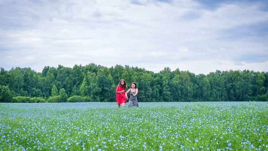 Фото иллюстрационное