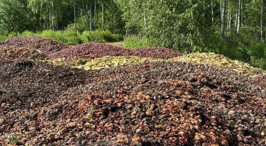 Под видео собрались тысячи комментаторов, возмущённых такой «бесхозяйственностью».