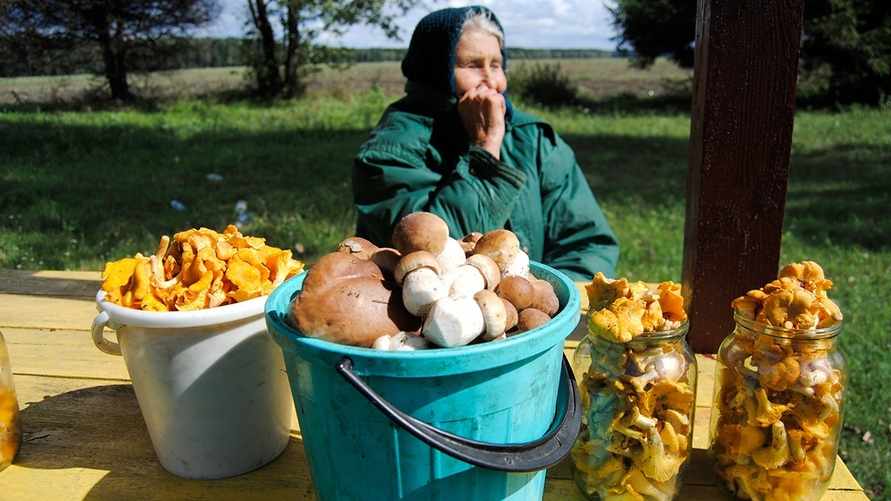 Фото иллюстрационное