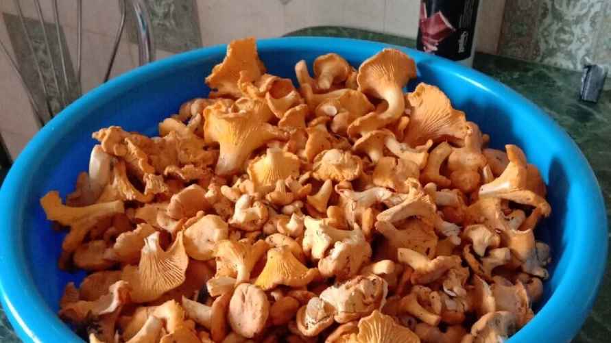 Бобруйск. Фото Анатолия Дикуна