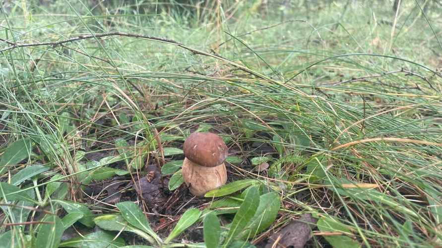 Фото Вячеслава Грищенко