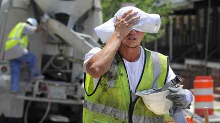 Жарко на работе? В Минтруда напомнили, что и при какой температуре наниматель обязан предоставлять белорусам