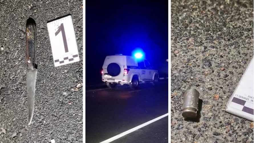 На Брестчине милиция открыла огонь по дебоширу, который пошёл на них с ножом