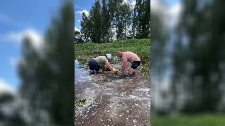 Белорусы показали, как пришлось "копать" картошку в этом году. Какие плюсы нашли?