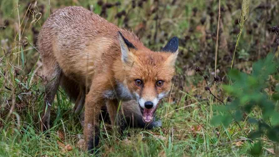 Фото иллюстрационное