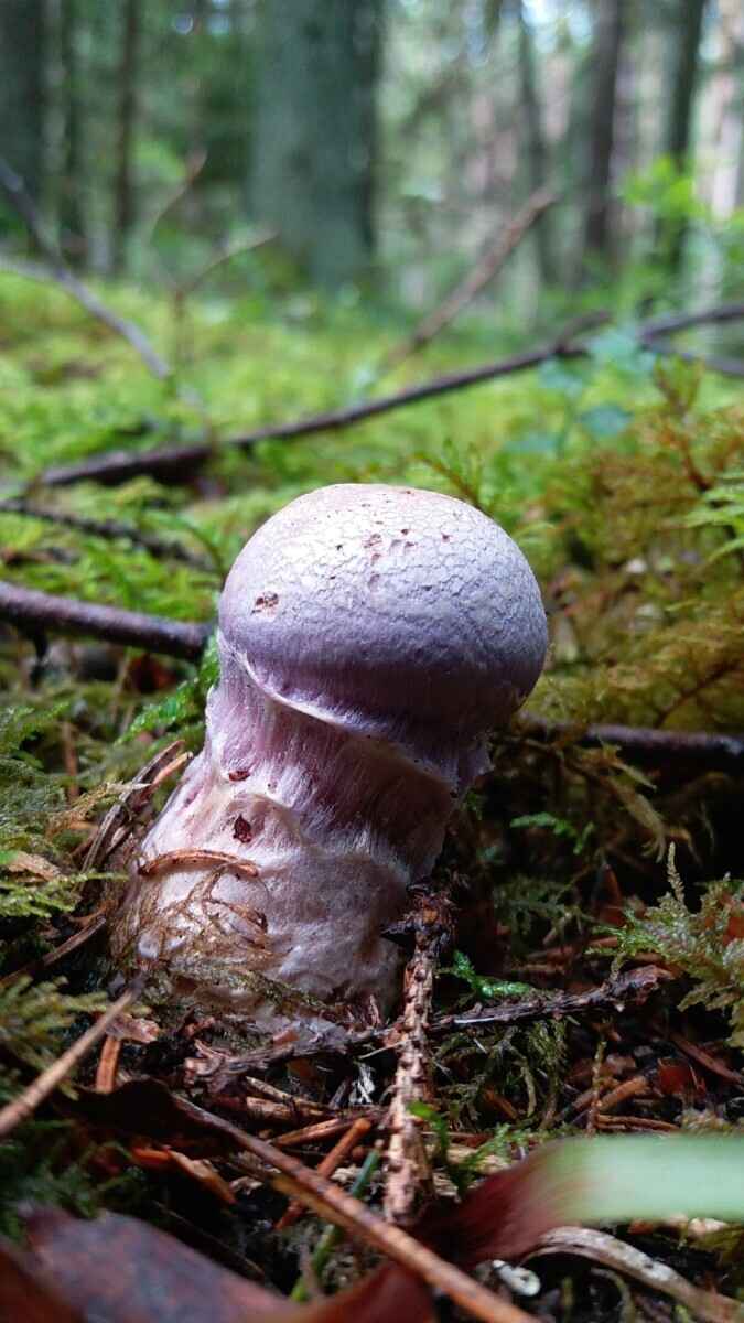 Фото Татьяны Старковой