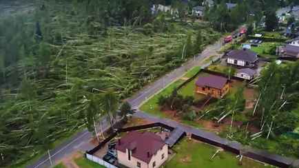 «Леса тут больше нет» — В МЧС показали, как выглядит пригород Минска, пострадавший от грозового фронта