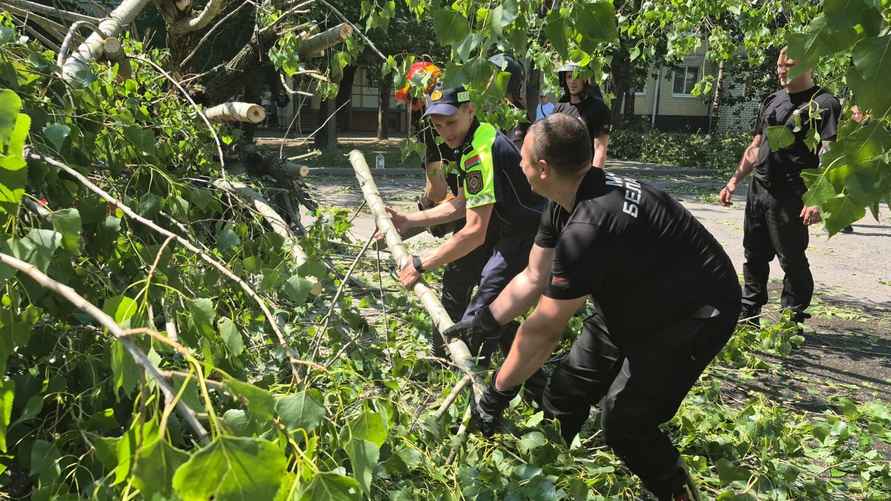 Фото: t.me/pressmvd