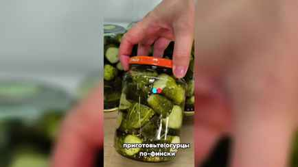 «Зачем столько?» — Рецепт огурцов «по-фински» набрал 5,7 млн просмотров в TikTok. Зрители разделились на 2 лагеря