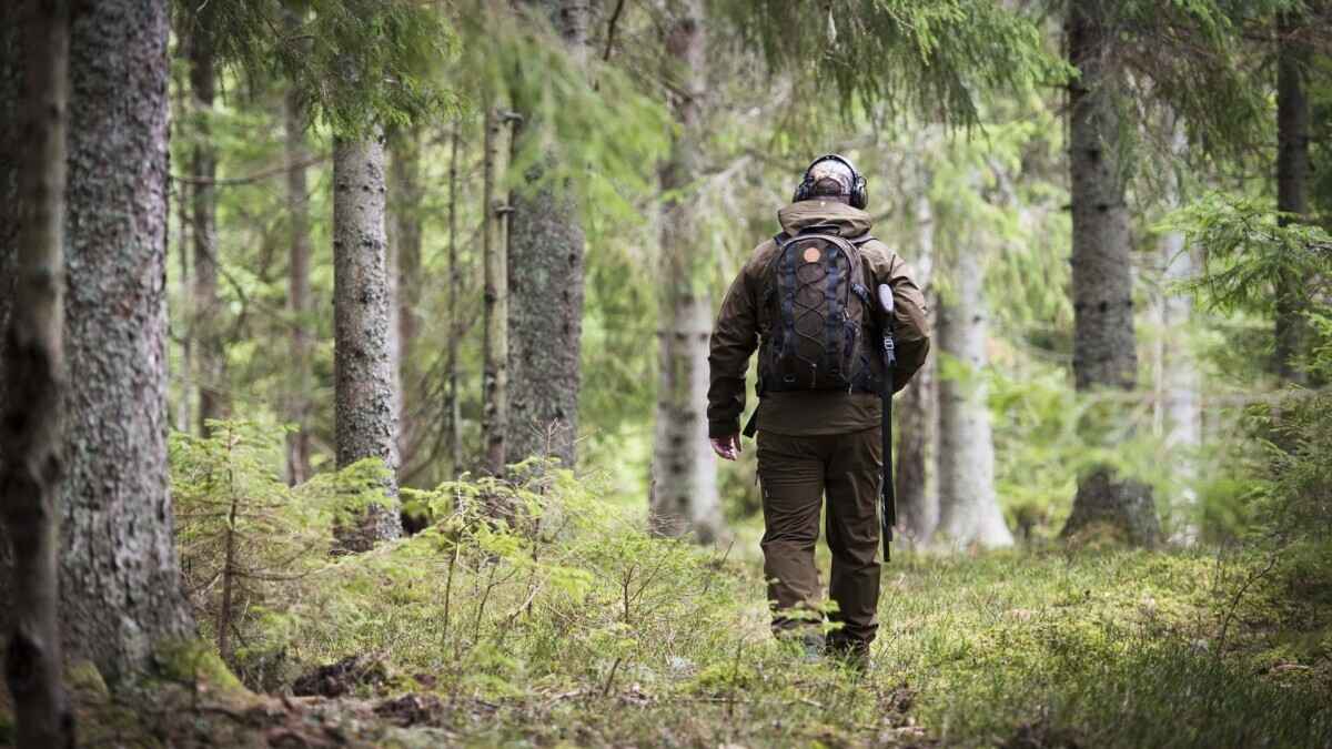 В Беларуси объявили начало сезона охоты на птиц. Природоохрана предупредила о «категорических запретах»