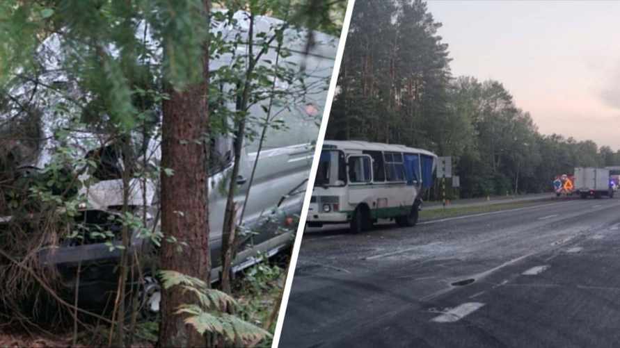 Водитель под следствием. СК назвало предварительную причину ДТП на Брестчине, где пострадали 15 человек