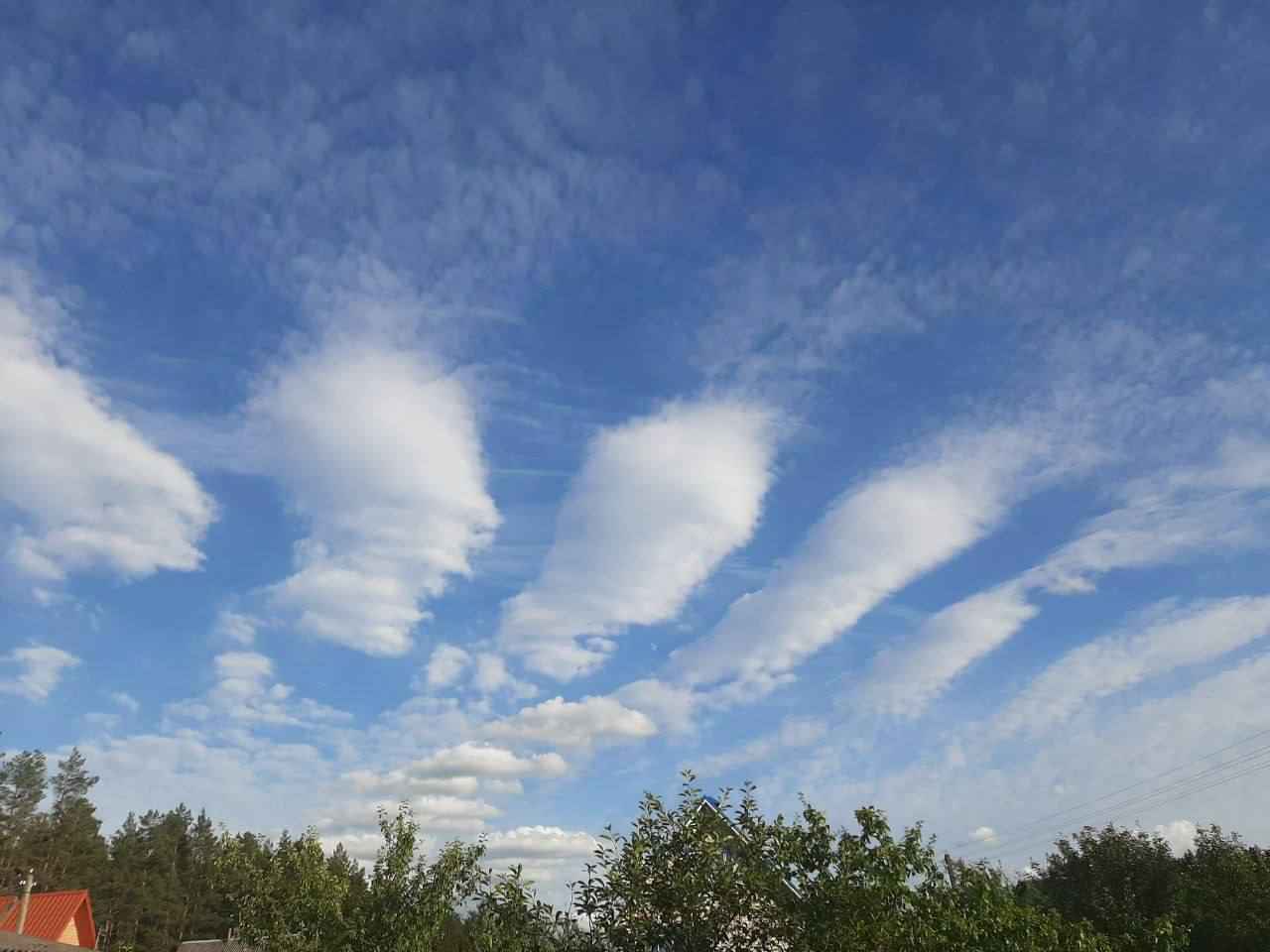 Фото: тг-канал 