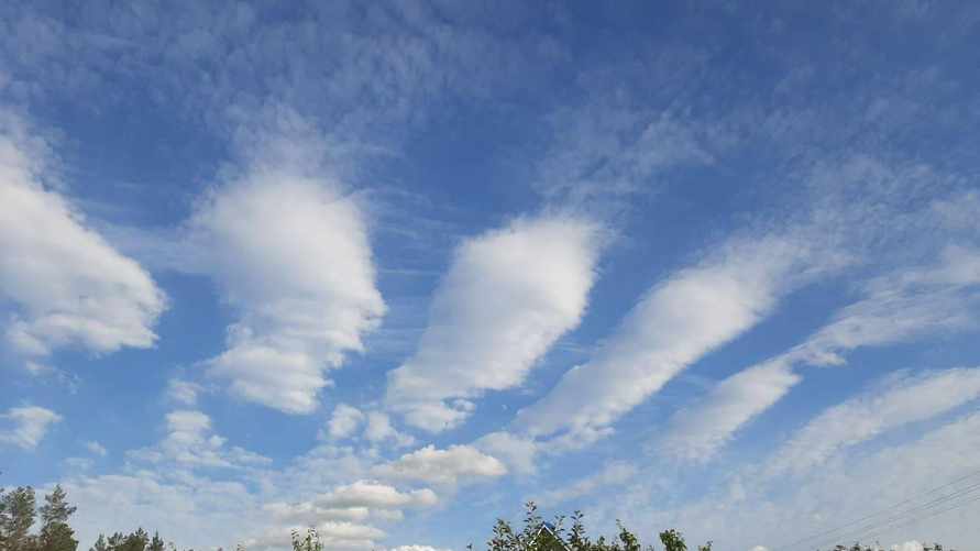 Фото: тг-канал "Метеовайб"