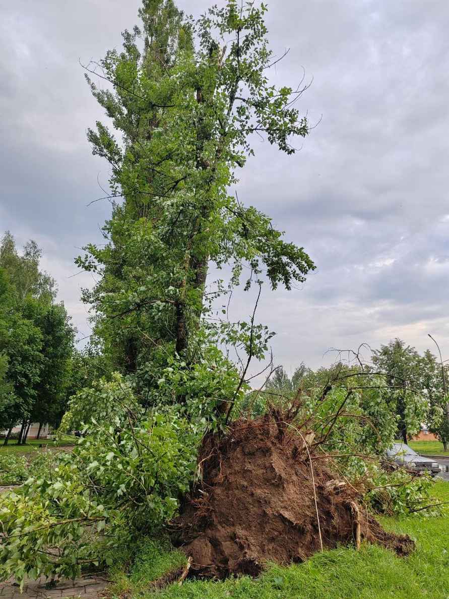В Могилёве развернули штаб комиссии по ЧС после разрушительной ночной грозы