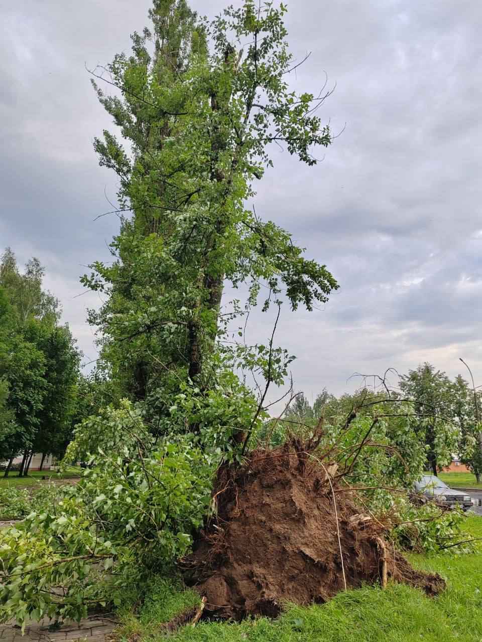 В Могилёве развернули штаб комиссии по ЧС после разрушительной ночной грозы