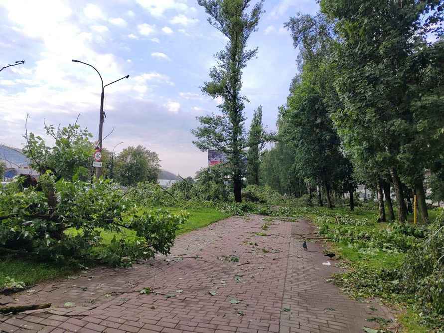 В Могилёве развернули штаб комиссии по ЧС после разрушительной ночной грозы