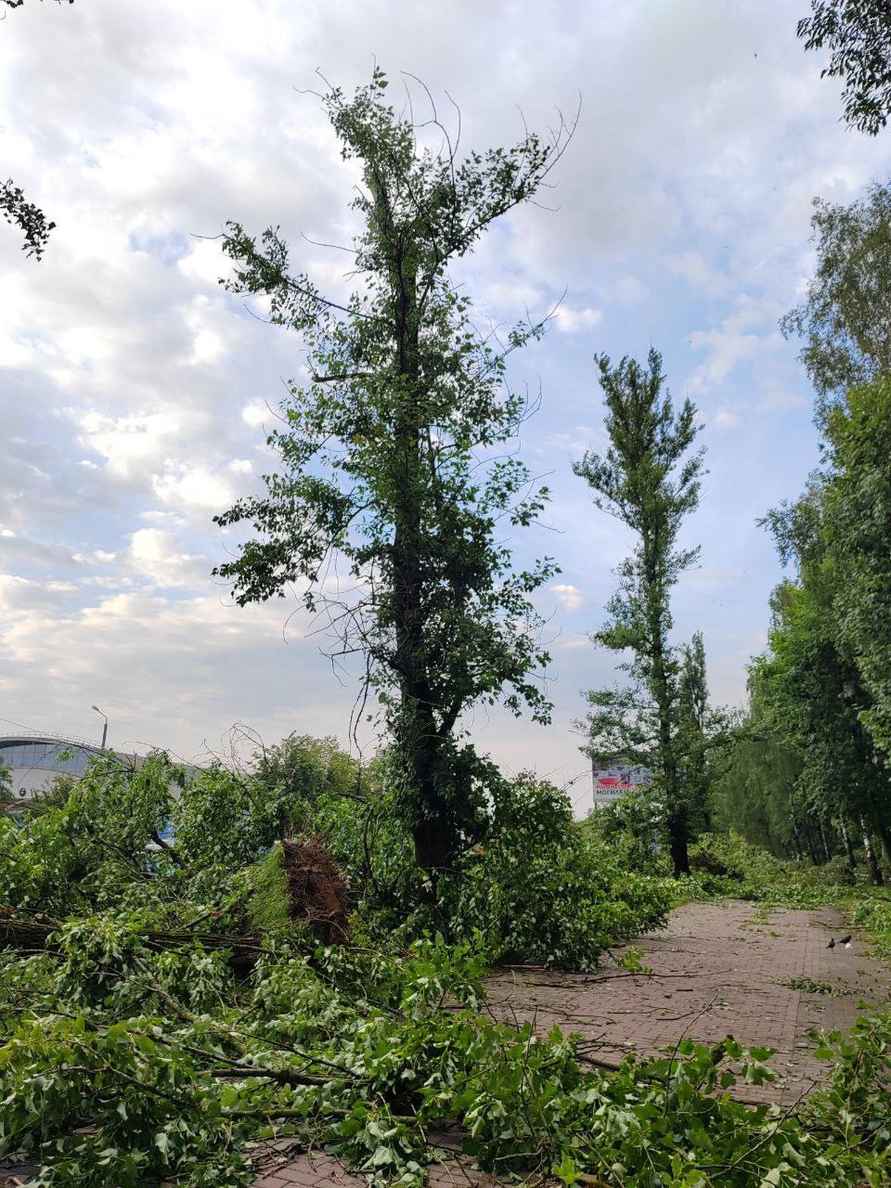 В Могилёве развернули штаб комиссии по ЧС после разрушительной ночной грозы