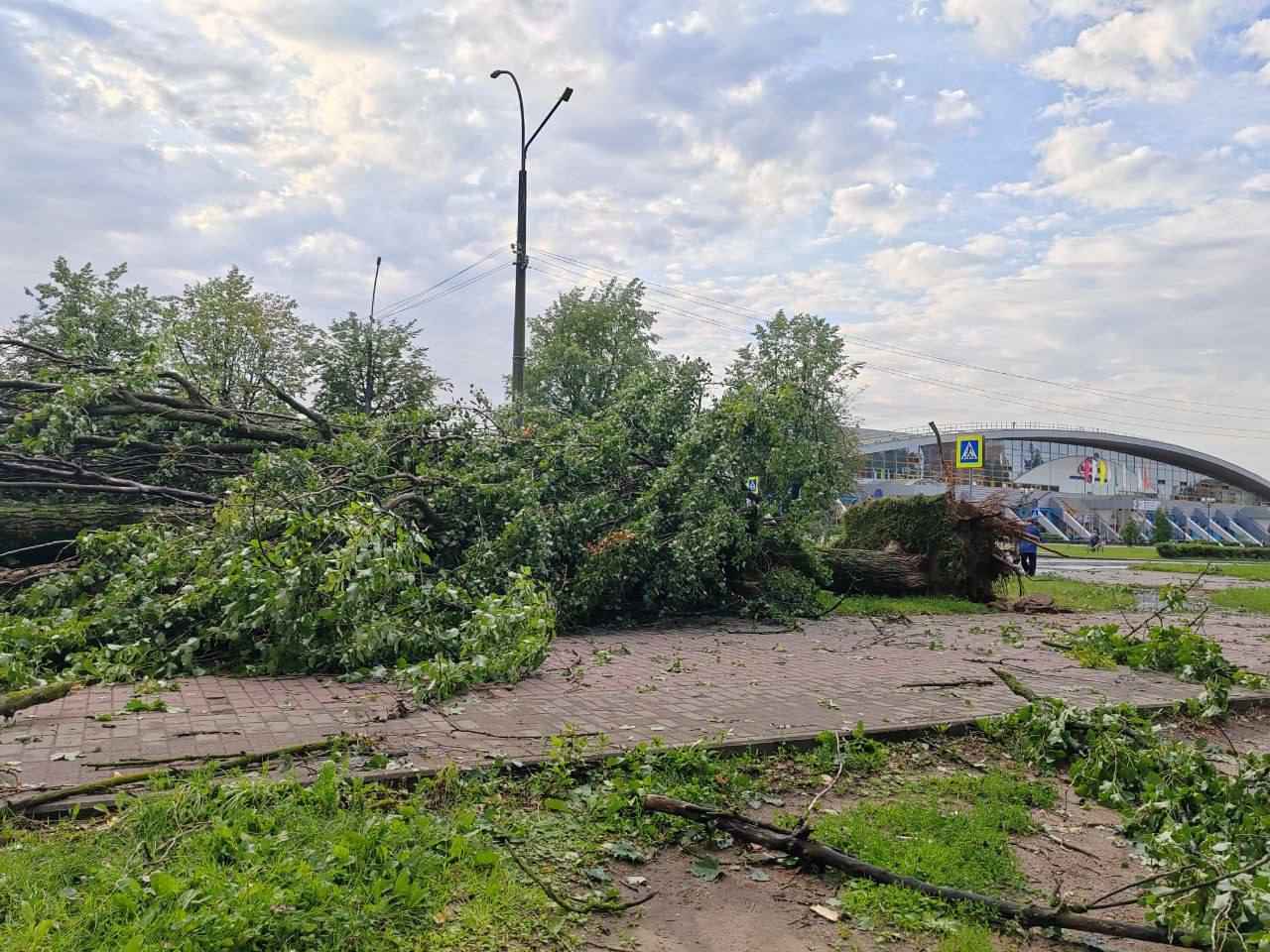 В Могилёве развернули штаб комиссии по ЧС после разрушительной ночной грозы