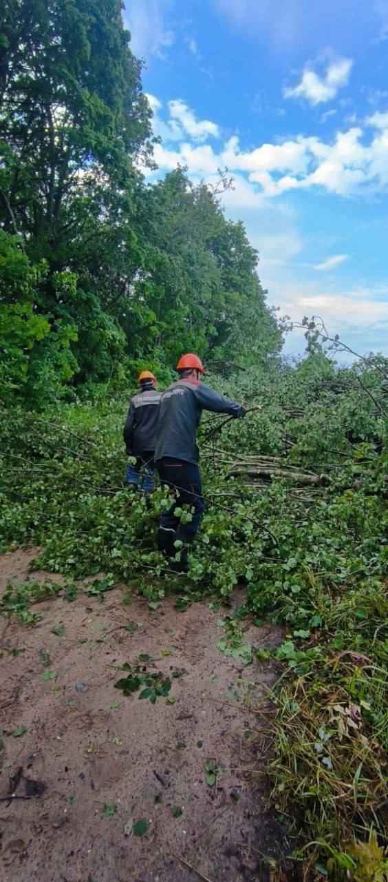 В Могилёве развернули штаб комиссии по ЧС после разрушительной ночной грозы
