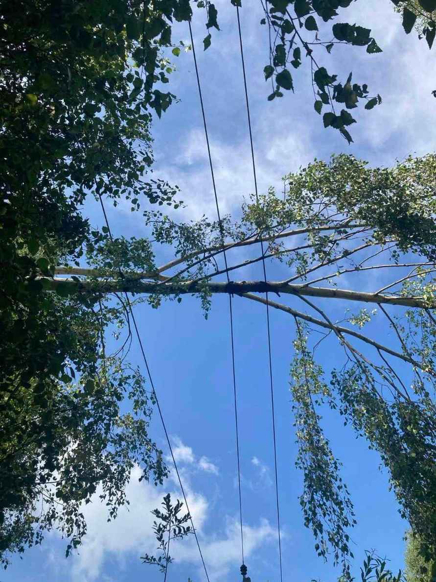 В Могилёве развернули штаб комиссии по ЧС после разрушительной ночной грозы