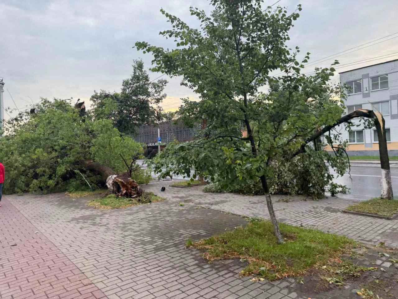 В Могилёве развернули штаб комиссии по ЧС после разрушительной ночной грозы