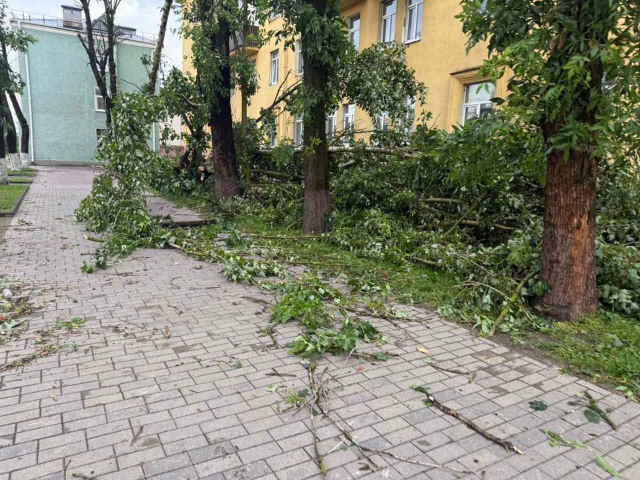 В Могилёве развернули штаб комиссии по ЧС после разрушительной ночной грозы